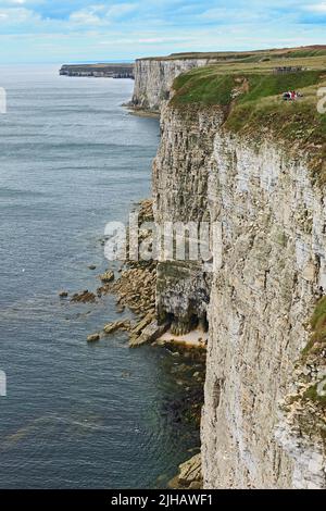 Bempton Cliffs an der Yorkshire Coast England Stockfoto