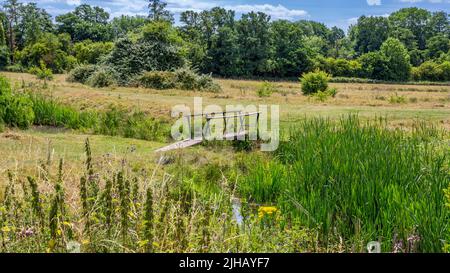 Bordesley Abbey Meadows rund um die Ruinen in Redditch, Worcestershire, England. Stockfoto