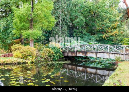 Eine kleine Holzbrücke über ein Wasserspiel im Tatton Park, einem historischen Anwesen in der englischen Grafschaft chesthire. Stockfoto