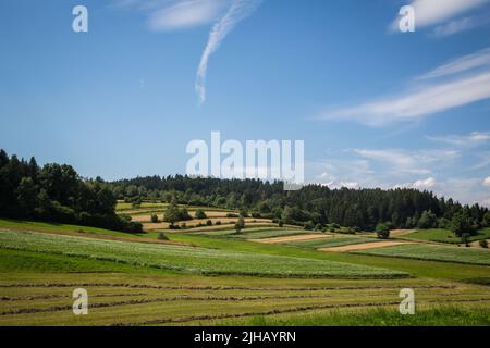 Typische Waldviertel-Landschaft - Felder, Wiesen und Wald - Wandern in der Nähe von Siebenlinden im Waldviertel, Österreich Stockfoto