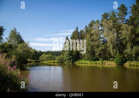 Karpfenteich an einem Sommertag - Wandern in der Nähe von Siebenlinden im Waldviertel, Österreich Stockfoto