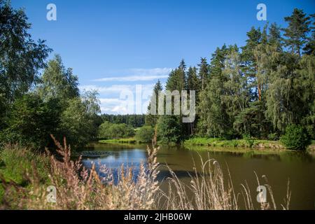 Karpfenteich an einem Sommertag - Wandern in der Nähe von Siebenlinden im Waldviertel, Österreich Stockfoto