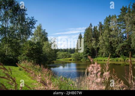 Karpfenteich an einem Sommertag - Wandern in der Nähe von Siebenlinden im Waldviertel, Österreich Stockfoto