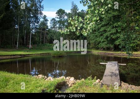 Karpfenteich an einem Sommertag - Wandern in der Nähe von Siebenlinden im Waldviertel, Österreich Stockfoto