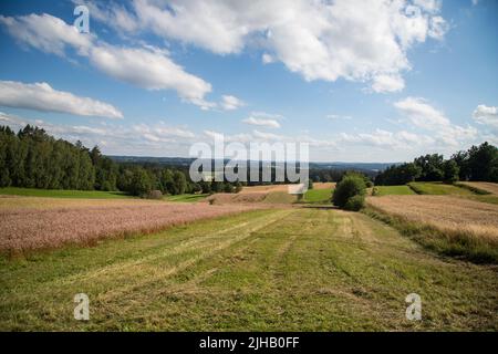 Typische Waldviertel-Landschaft - Felder, Wiesen und Wald - Wandern in der Nähe von Siebenlinden im Waldviertel, Österreich Stockfoto