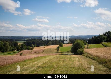 Typische Waldviertel-Landschaft - Felder, Wiesen und Wald - Wandern in der Nähe von Siebenlinden im Waldviertel, Österreich Stockfoto