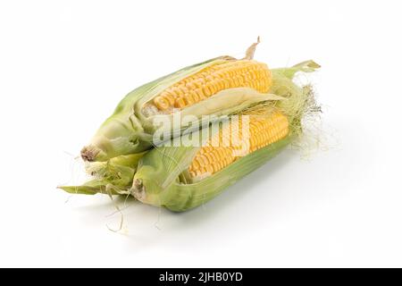 Frischer Mais auf Maiskolben isoliert auf hellem Hintergrund. Nahaufnahme. Stockfoto