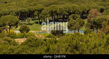 Blick auf den Golfplatz von der Drohne in dichter Waldvegetation Stockfoto