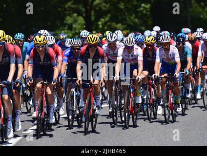 Caracassone, Frankreich. 17.. Juli 2022. Die Gruppe der Fahrer, die während der 15. Etappe des Radrennens der Tour de France, von Rodez nach Carcassonne (200km), Frankreich, am Sonntag, dem 17. Juli 2022, in Aktion gezeigt wurde. Die diesjährige Tour de France findet vom 01. Bis 24. Juli 2022 statt. BELGA FOTO POOL PETE GODING - UK OUT Credit: Belga Nachrichtenagentur/Alamy Live News Stockfoto