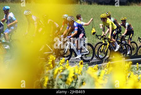 Caracassone, Frankreich. 17.. Juli 2022. Der Däne Jonas Vingegaard von Jumbo-Visma passiert ein Sonnenblumenfeld während der 15. Etappe des Radrennens der Tour de France, von Rodez nach Carcassonne (200km), Frankreich, am Sonntag, den 17. Juli 2022. Die diesjährige Tour de France findet vom 01. Bis 24. Juli 2022 statt. BELGA FOTO DAVID PINTENS - UK OUT Credit: Belga News Agency/Alamy Live News Stockfoto