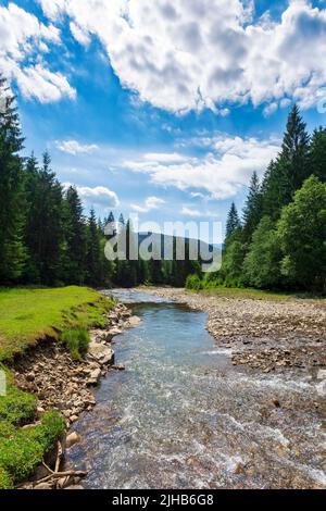 Bergfluss fließt durch Landschaft Tal. Schöne grüne Naturlandschaft im Sommer. Steine auf dem grasbewachsenen Ufer an einem sonnigen Tag. Wolken auf dem b Stockfoto