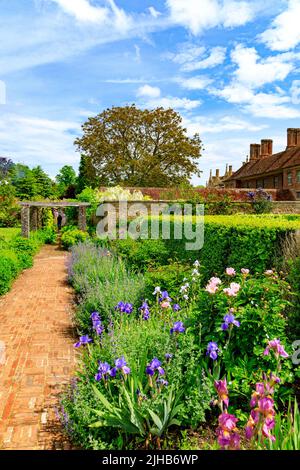 Bunte Irisblumen entlang eines Pfades durch einen der Gärten von Barrington Court mit Strode House Beyond, Somerset, England, Großbritannien Stockfoto