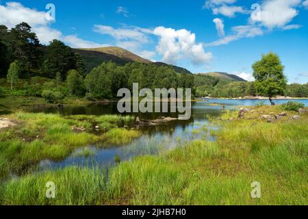 Loch Beinn A' Mheadhoinm, Glen Affric in der Nähe von Cannich, Highlands Scotland Stockfoto