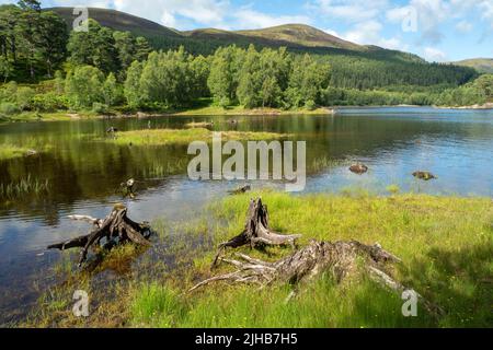 Loch Beinn A' Mheadhoinm, Glen Affric in der Nähe von Cannich, Highlands Scotland Stockfoto