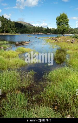 Loch Beinn A' Mheadhoinm, Glen Affric in der Nähe von Cannich, Highlands Scotland Stockfoto