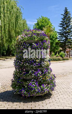 Eine Ecke im Park mit Bäumen und einem Turm mit einer Mischung aus violetten, gelben, rosa und weißen Veilchen, Altai violett oder lila Blume, Sofia, Stockfoto