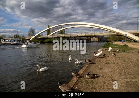 Walton Bridge und die Themse, Walton on Thames, Surrey Stockfoto