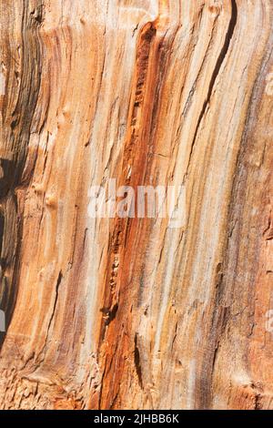 Holz Textur Hintergrund Stockfoto