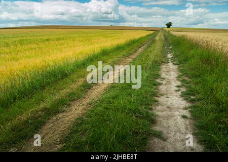 Langer, gerader Feldweg durch die Felder, Sommertag Stockfoto