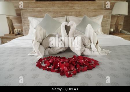 Zwei weiße Handtuchschwäne und rote Rose auf dem Bett In Honey Moon Anzug Stockfoto