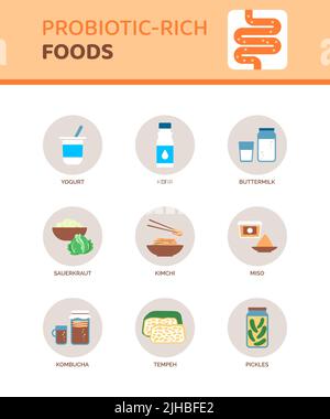 Probiotisch-reiches Essen für eine bessere Verdauung, Infografik mit Symbolen Stock Vektor