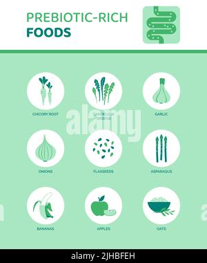 Präbiotisch-reiche Lebensmittel, die die Verdauung unterstützen, Infografik mit Symbolen Stock Vektor