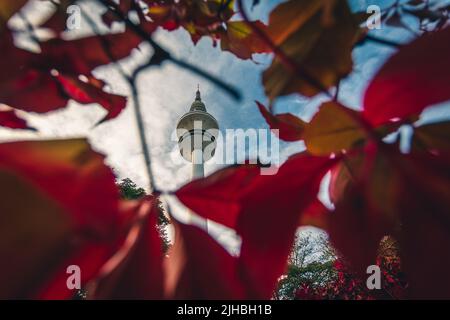 City Park Planten un Blomen im Herbst. Anzeigen von Heinrich Hertz Turm ist radio Telecommunication Tower in Hamburg. Deutschland Stockfoto