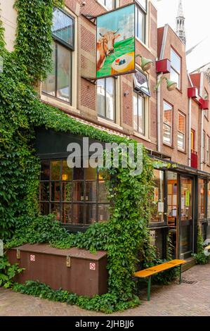 The Bonte Koe, eine niederländische Brown Bar in Leiden, Niederlande Stockfoto