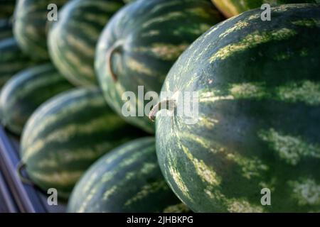 Nahaufnahme von Wassermelonen auf einem Marktstand Stockfoto