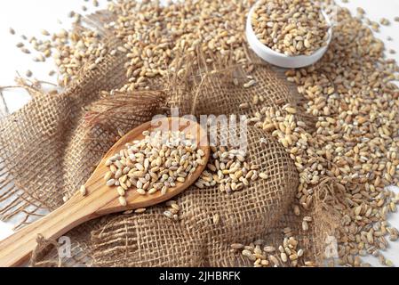 Gerste auf einem hellen Hintergrund. Ein Haufen trockener Gerste auf einem Holzlöffel Stockfoto