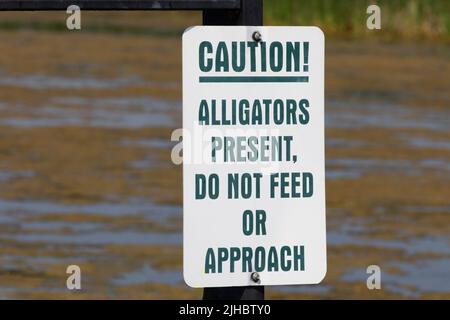 Vorsicht Alligatoren vorhanden, nicht füttern oder sich nähern Warnschild am Big Slough Recreation Area in Texas, Vereinigte Staaten Stockfoto