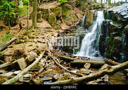 Blick auf den Skakalo Wasserfall in den Karpaten in der Ukraine, der zwischen hohen Bäumen über die Felsen fließt Stockfoto