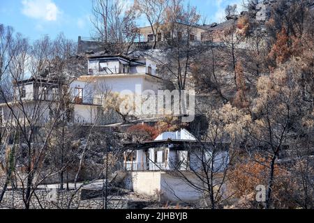 Feuer beschädigte Häuser, verursacht durch einen wilden Brand auf einem Hügel in Koroni, Messinia, an der Südspitze des Peloponnes, Griechenland. Stockfoto