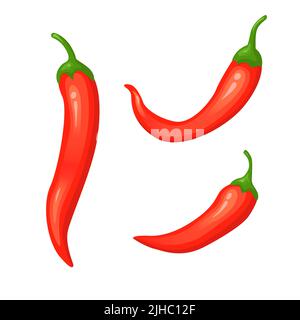 Chili mit scharfem Pfeffer und typisch mexikanisches, würziges Essen im Cartoon-Stil. Vektordarstellung auf weißem Hintergrund isoliert Stock Vektor