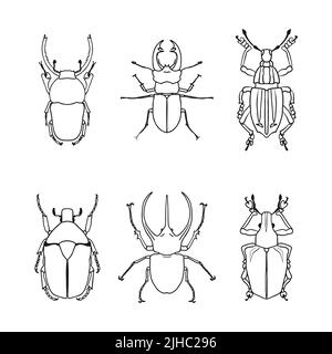 Eine Reihe isolierter Konturzeichnungen von Käfern auf weißem Hintergrund. Doodle-Stil. Ein Designelement. Stock Vektor