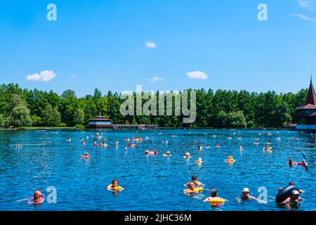 Thermalsee, Heviz, Ungarn Stockfoto