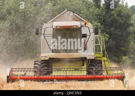 Ein Claas Lexion 440 Mähdrescher, Ernte Gerste in Leeds, West Yorkshire Stockfoto