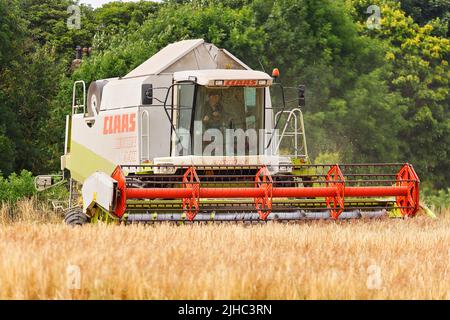 Ein Claas Lexion 440 Mähdrescher, Ernte Gerste in Leeds, West Yorkshire Stockfoto
