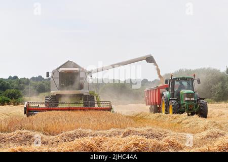 Ein Claas Lexion 440 Mähdrescher, der einen John Deere 6920s Traktor mit Gerste beladen wird Stockfoto