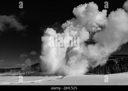 Schwarz-Weiß-Schuss aufsteigenden Dampfes vom ausbrechenden Old Faithful Geyser im Winter, Yellowstone National Park, USA. Stockfoto