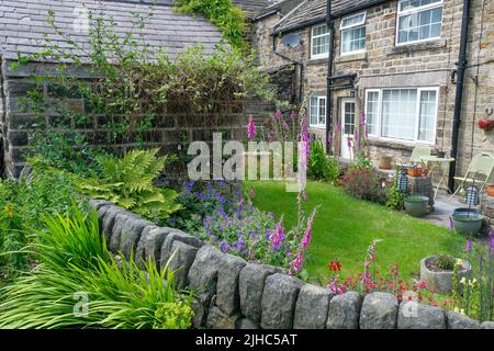 Bolsterstone, South Yorkshire, UK Juni 25 2022 Eine traditionelle Steinmauer, die an einen Yorkshire Dorfgarten grenzt, mit einer wunderschönen Blumenpracht Stockfoto