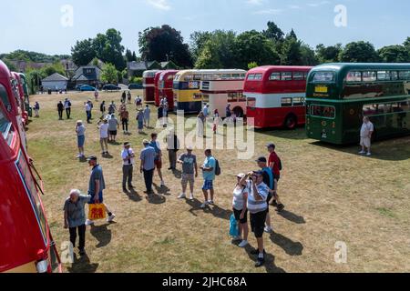 Alton Bus Rally und Running Day im Juli 2022, Sommerverkehrsereignis in Anstey Park, Alton, Hampshire, England, Großbritannien Stockfoto