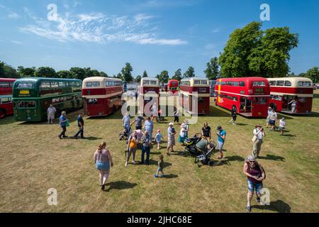 Alton Bus Rally und Running Day im Juli 2022, Sommerverkehrsereignis in Anstey Park, Alton, Hampshire, England, Großbritannien Stockfoto