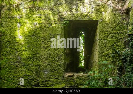 Degradation durch die Natur des keltischen Gebäudes, Verteidigungsturm. Belagerungsturm aus der keltischen Zeit, Limerick, Irland, 17. Juli 2022 Stockfoto