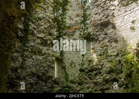 Degradation durch die Natur des keltischen Gebäudes, Verteidigungsturm. Belagerungsturm aus der keltischen Zeit, Limerick, Irland, 17. Juli 2022 Stockfoto