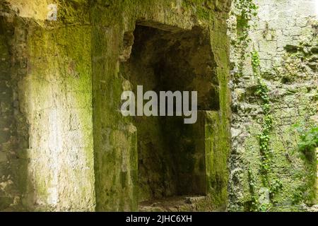 Degradation durch die Natur des keltischen Gebäudes, Verteidigungsturm. Belagerungsturm aus der keltischen Zeit, Limerick, Irland, 17. Juli 2022 Stockfoto