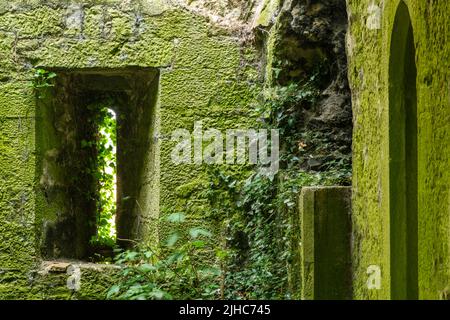 Degradation durch die Natur des keltischen Gebäudes, Verteidigungsturm. Belagerungsturm aus der keltischen Zeit, Limerick, Irland, 17. Juli 2022 Stockfoto