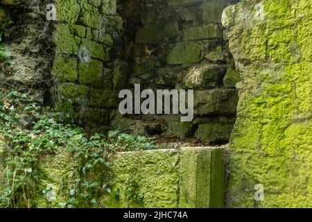 Degradation durch die Natur des keltischen Gebäudes, Verteidigungsturm. Belagerungsturm aus der keltischen Zeit, Limerick, Irland, 17. Juli 2022 Stockfoto