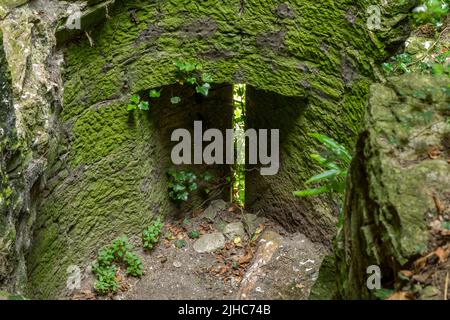 Degradation durch die Natur des keltischen Gebäudes, Verteidigungsturm. Belagerungsturm aus der keltischen Zeit, Limerick, Irland, 17. Juli 2022 Stockfoto