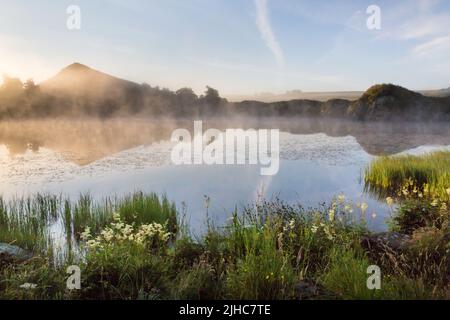 Ein nebliger Morgen am Cawfield Quarry Teich im Hochsommer, mit Wildblumen im Vordergrund, an der Hadrian's Wall in Northumberland, Nordostengland. Stockfoto